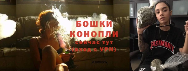 стафф Богородицк