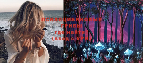 стафф Богородицк