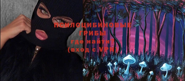 стафф Богородицк
