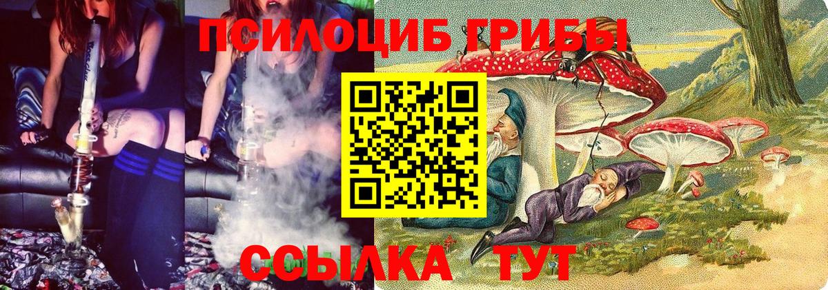 Псилоцибиновые грибы MAGIC MUSHROOMS Северск