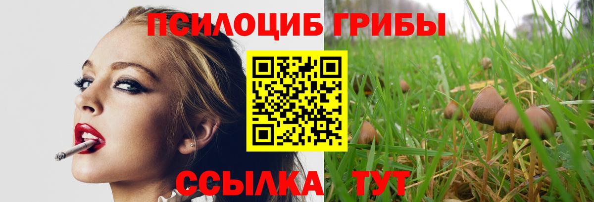 Галлюциногенные грибы MAGIC MUSHROOMS  Вход с VPN  Псилоцибиновые грибы Psilocybe  Северск 