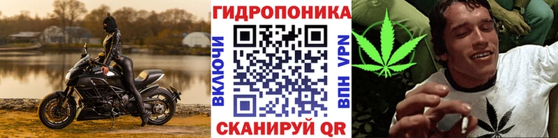 Каннабис Bruce Banner Северск